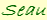 Seau